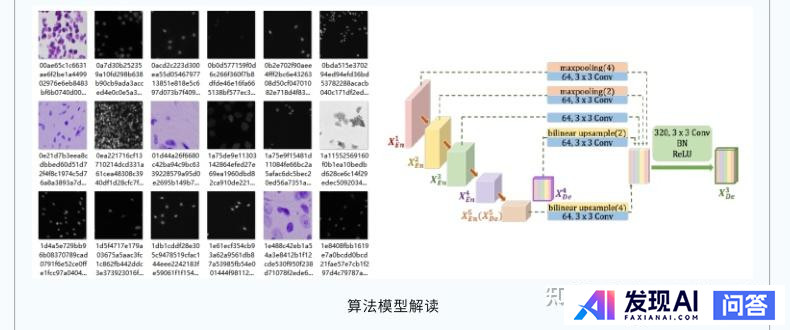 请推荐一个人工智能学习路线图？-60.jpg