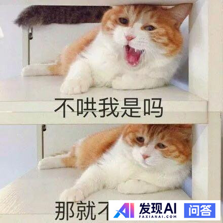 哪些网站帮你打开了新世界的大门？-15.jpg