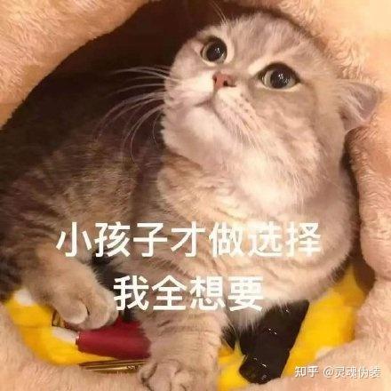 PS和canva怎么选择？-1.jpg