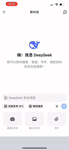 能大致讲一下 DeepSeek 的原理吗？-14.jpg